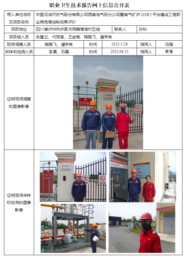 CSZP（K）2023-029 中國石油天然氣股份有限公司西南油氣分公司蜀南氣礦瀘203H5平臺建設工程.jpg