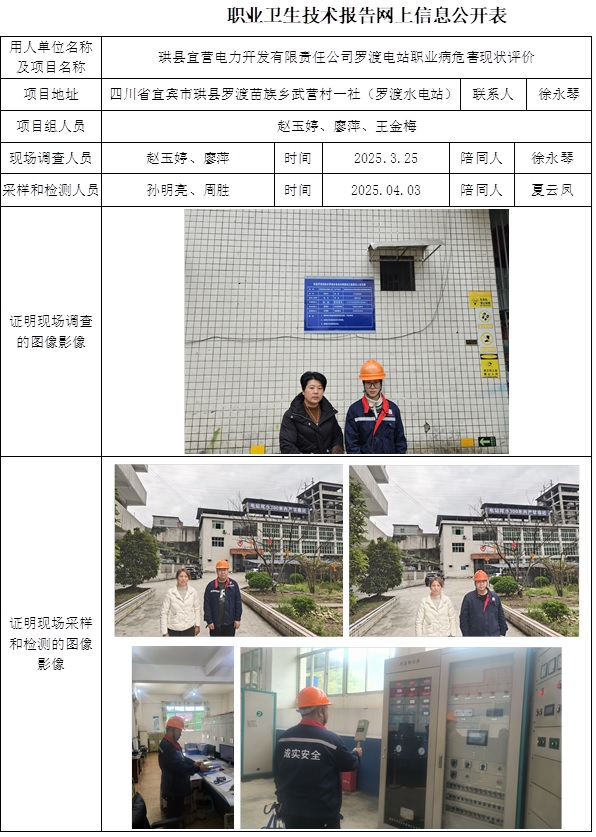 2025.7.7出版  CSZP（X）2025-002珙縣宜營電力開發(fā)有限責(zé)任公司羅渡電站.jpg